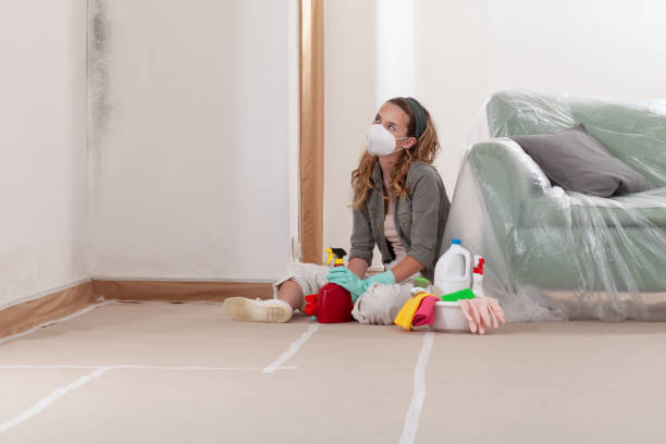 Reliable Mold Remediation contractor in Jessup, PA by WQB Mold Removal